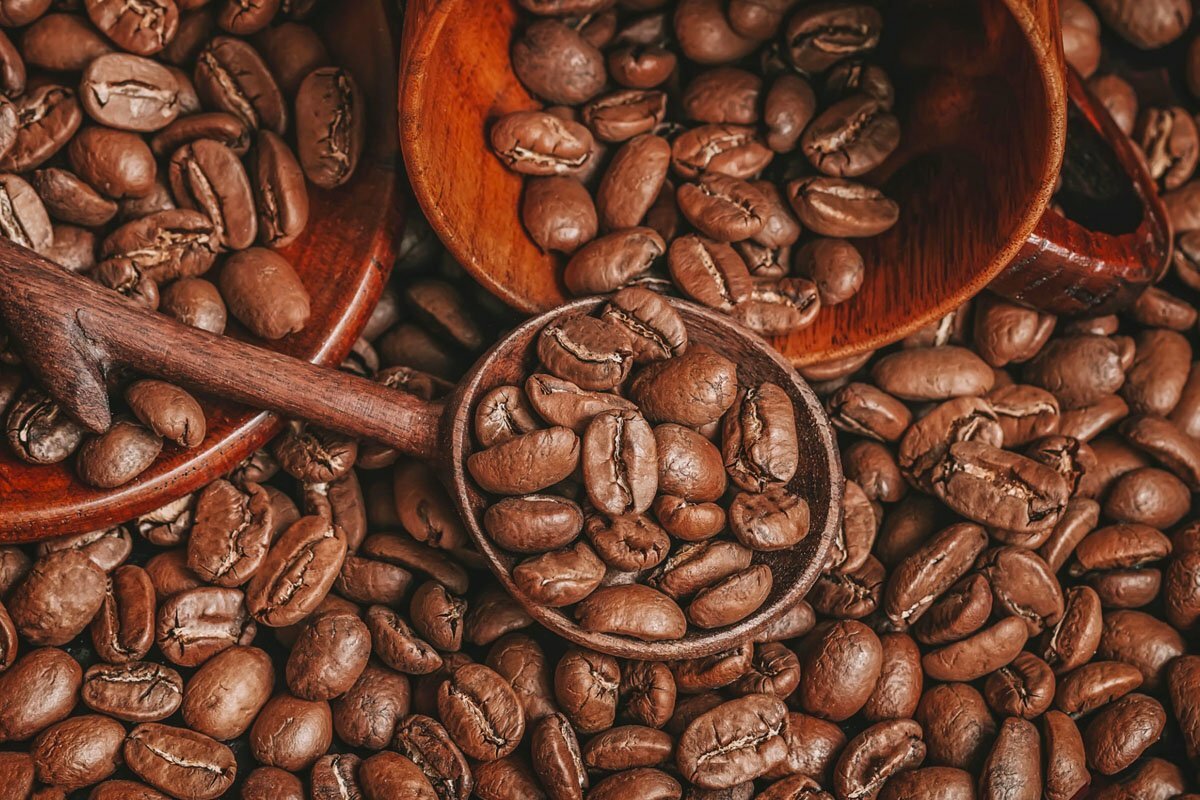 Arabica Kahve Nedir?